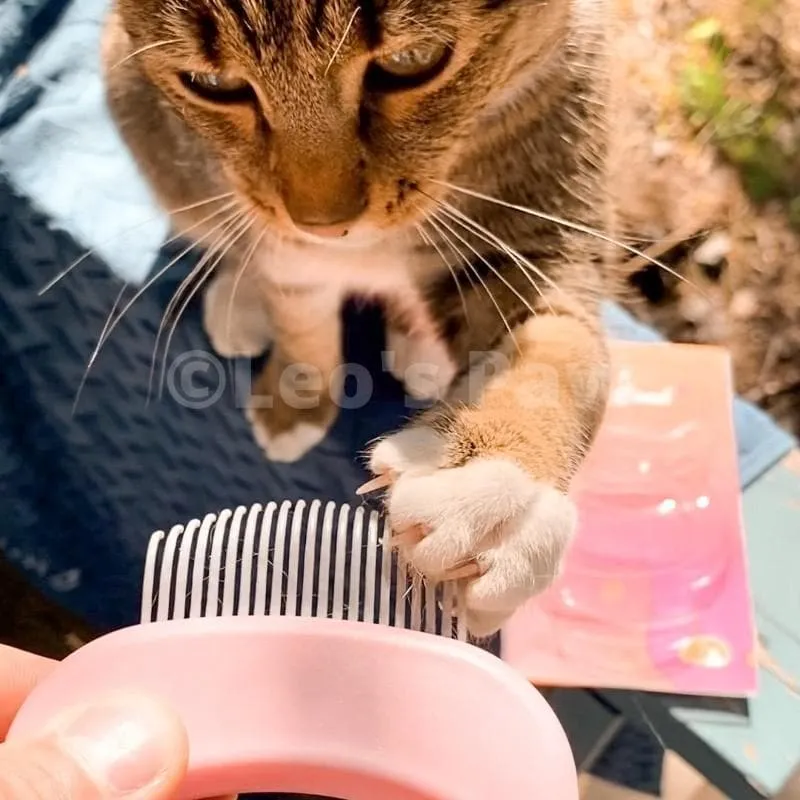 (3 Pack Bundle) Cat Hair Removal Massaging Shell Comb