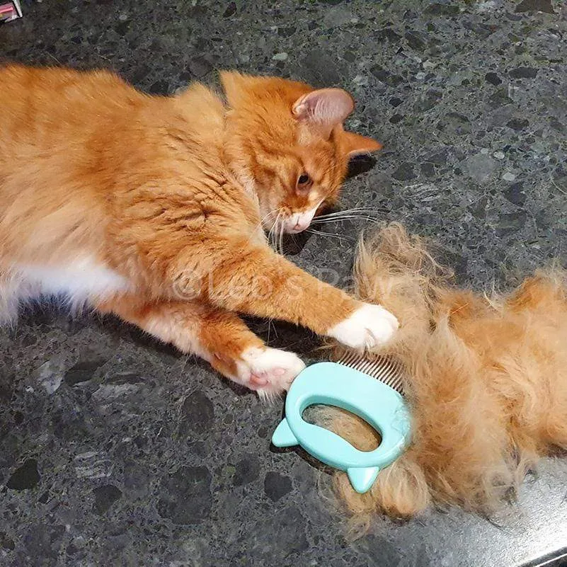 (3 Pack Bundle) Cat Hair Removal Massaging Shell Comb