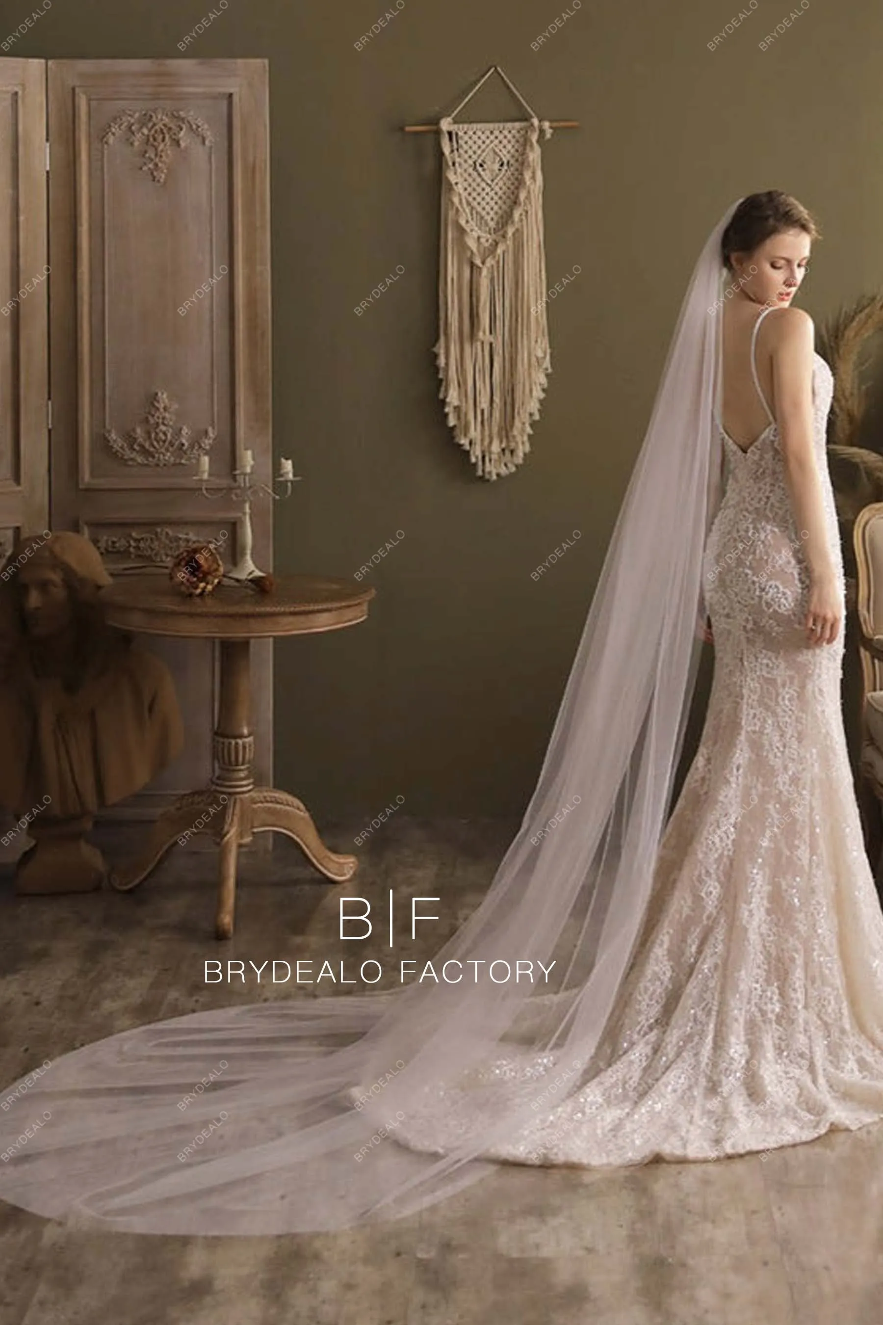 Cathedral Length Bridal Veil Plain Tulle Wedding Veil