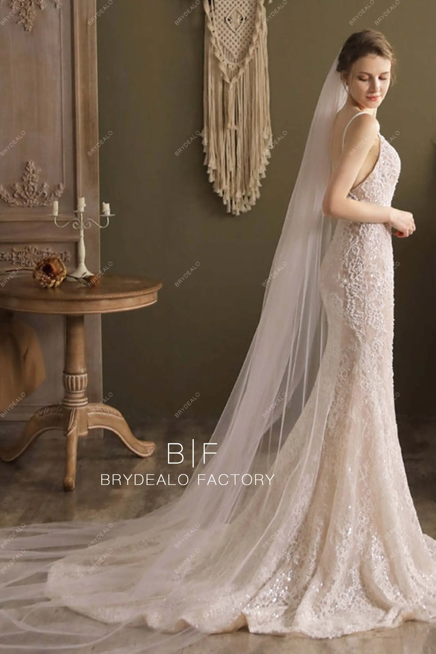 Cathedral Length Bridal Veil Plain Tulle Wedding Veil