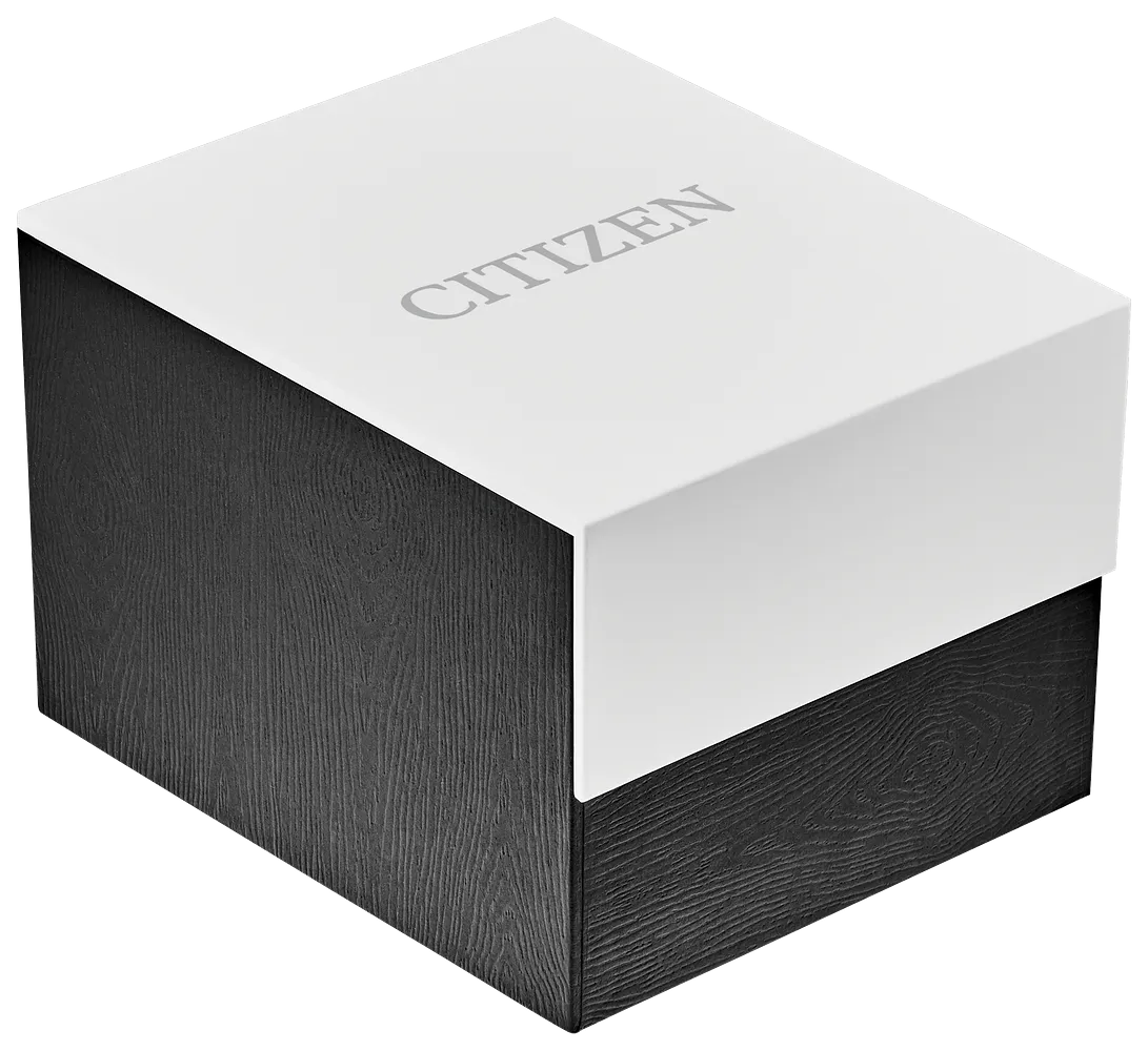 CITIZEN Quartz Watch BF2005-54L