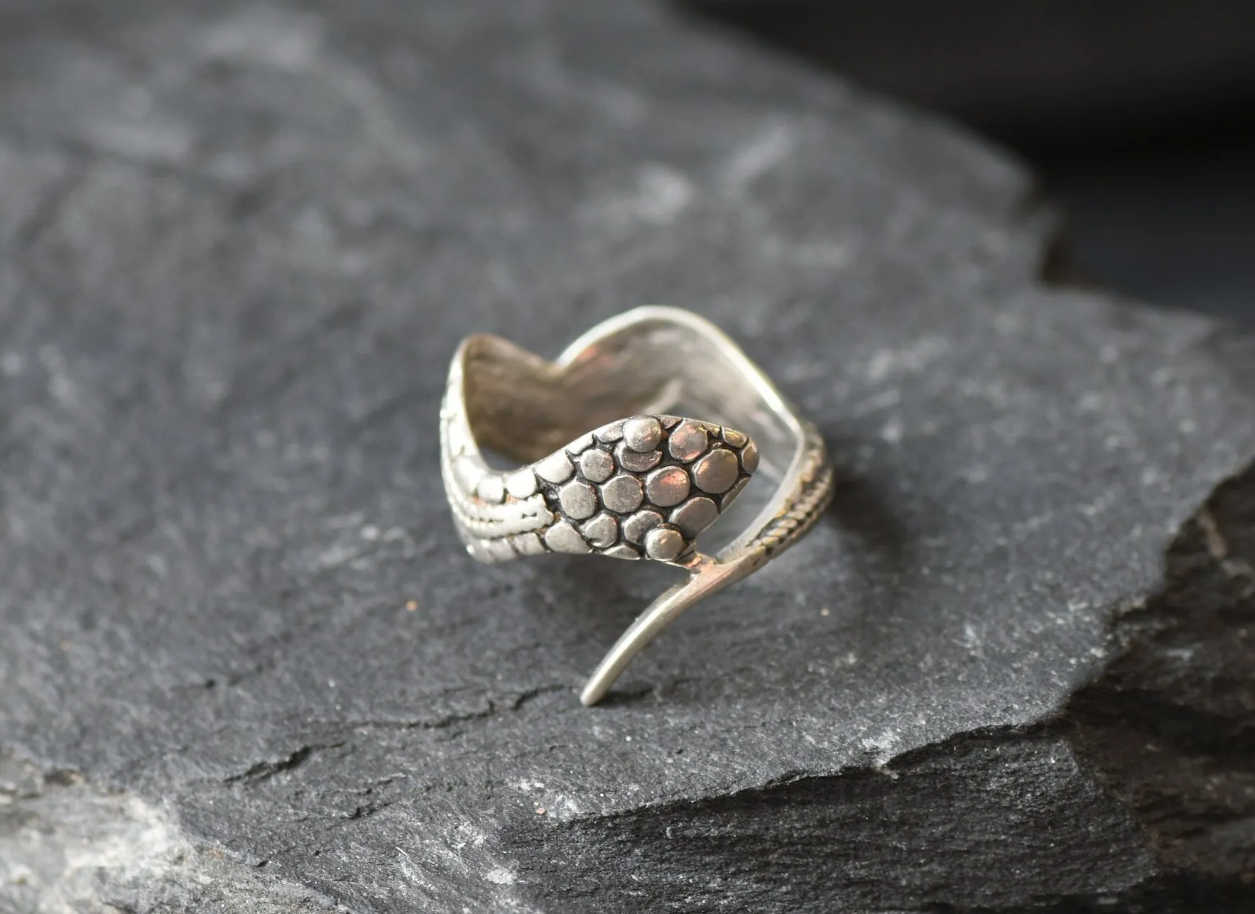 Silver Snake Ring - Silver Python Band - Silver Animal Ring