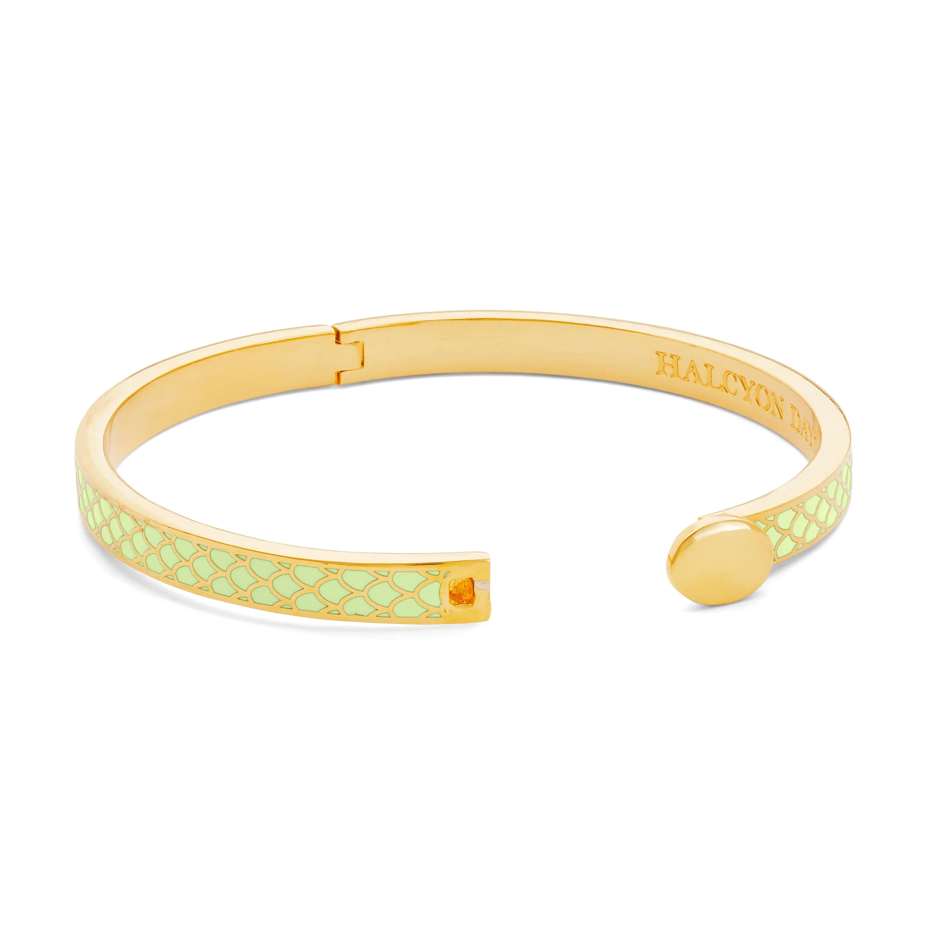 Skinny Salamander Meadow & Gold Bangle