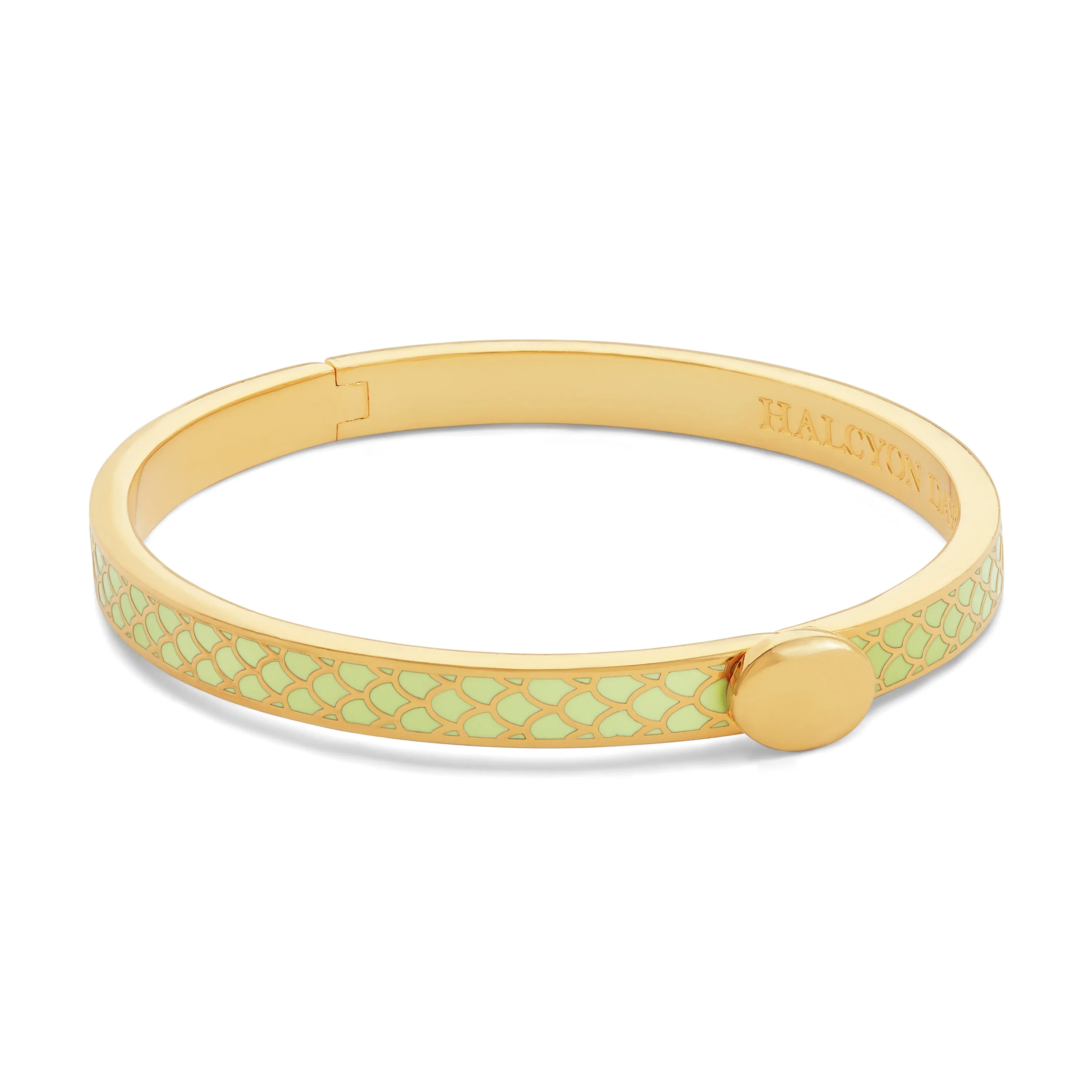 Skinny Salamander Meadow & Gold Bangle